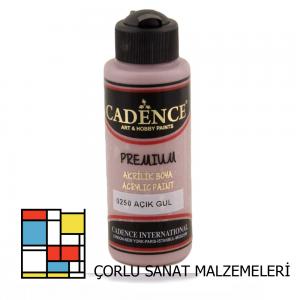 Premıum Akrilik Boya 0250 Açık Gül 120ml