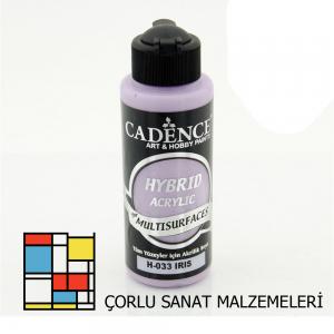 Hybrıd Akr. Multısurfaces-120ml H-033 İrıs