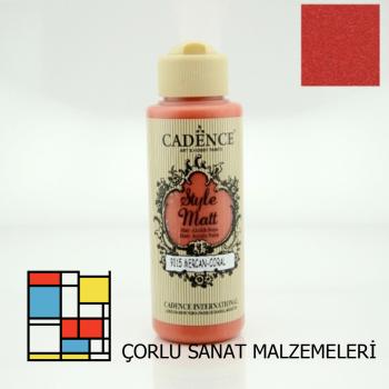 Style Mat Akrilik Boya-120ml S-9015 Mercan